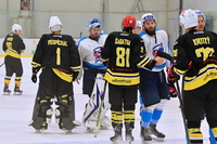 HC Světlá n. S. - HK M. Budějovice 9:1 (5.10.2024)