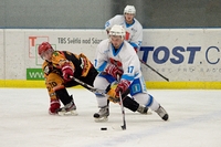 HC Světlá n. S.  - HC Ledeč n.S. 8:2 (14.10.2015) 