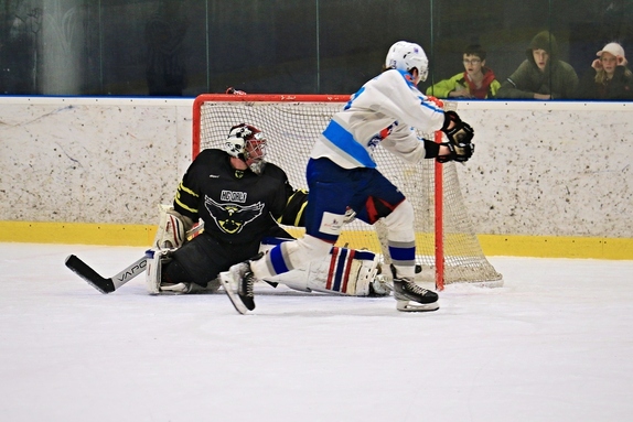 HC Světlá n. S. - HC Bystřice n. P. 3:2sn (5.11.20