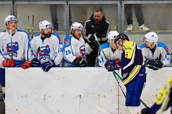 HC Světlá n. S. - HC Velká Bíteš 4:2 (4.12.2022) 2