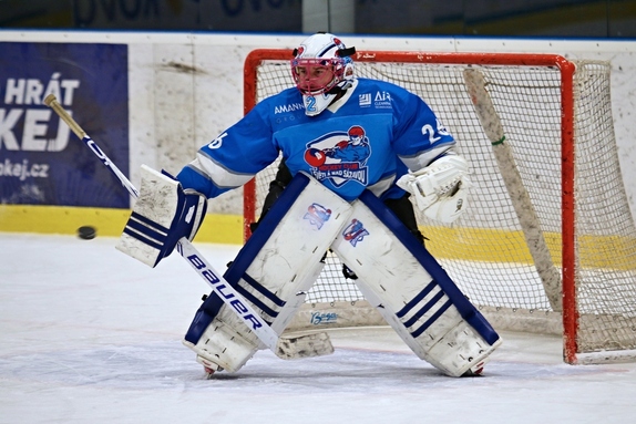 Team Včeláků - HC Světlá n. S. 8:7 (28.12.2022) 5