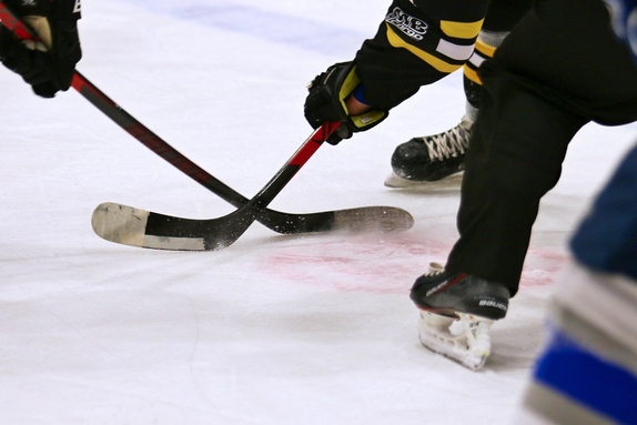 HC Světlá n. S. - Mor. Budějovice 1:3 (19.2.2023) 