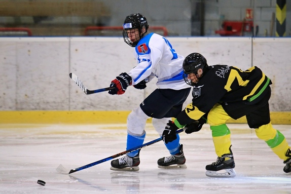 DOROSTENCI - 2023/2024 2