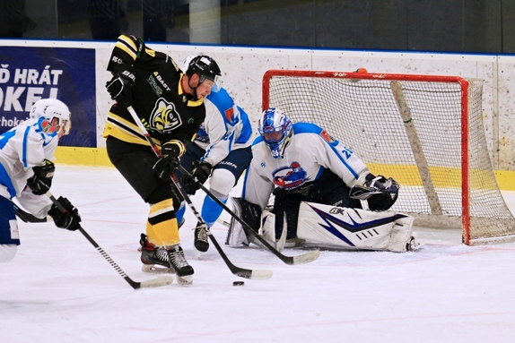HC Světlá n. S. - Mor. Budějovice 3:4 (4.2.2024) 1