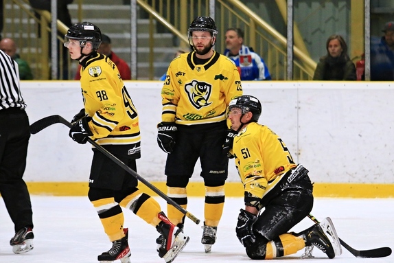 HC M. Budějovice - HC Světlá n. S. 4:1 (23.3.2024)