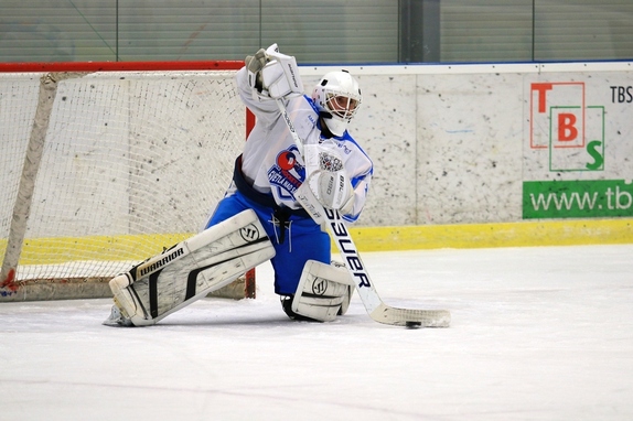 HC Světlá n. S. - HC Ledeč n. S. 3:1 (13.11.2016) 