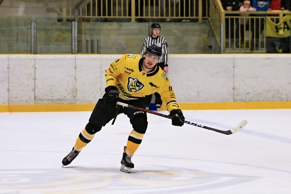 HC M. Budějovice - HC Světlá n. S. 2:0 (30.3.2024)