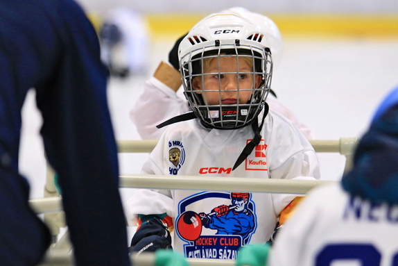 Pojď hrát hokej (září 2024) 34