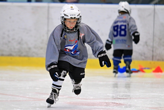 Pojď hrát hokej (září 2024) 2
