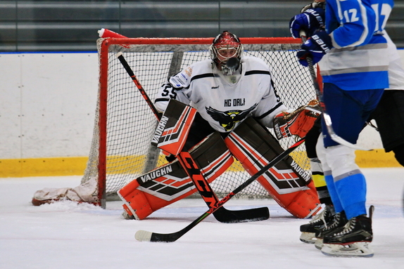 HC Bystřice n. P. - HC Světlá n. S. 0:7 (19.10.202