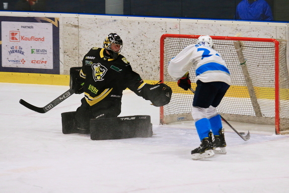 HC Světlá n. S. - Mor. Budějovice 9:5 (2.11.2024) 