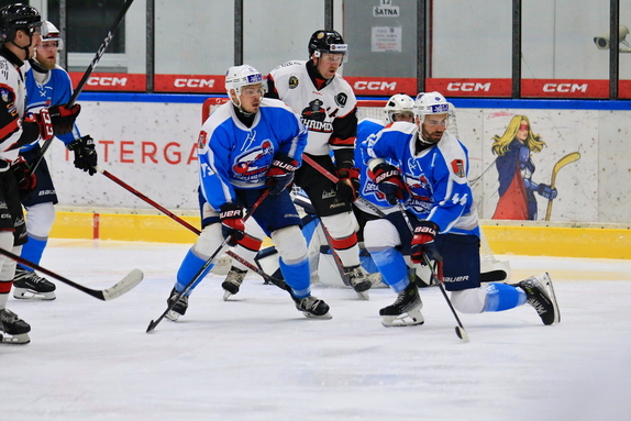 HC Pelhřimov - HC Světlá nad Sázavou 10:3 48