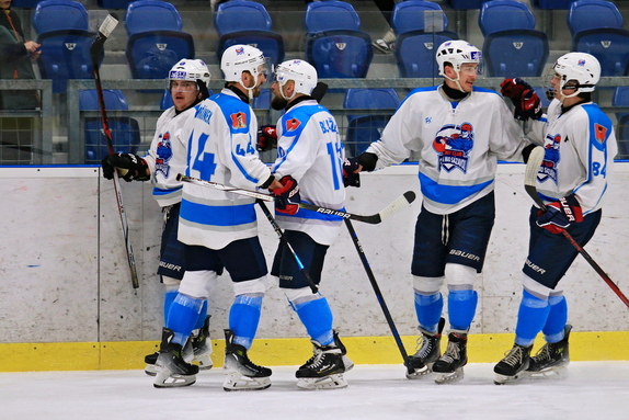 HC Světlá n. S. - SK Telč 5:3 (7.12.2024) 25