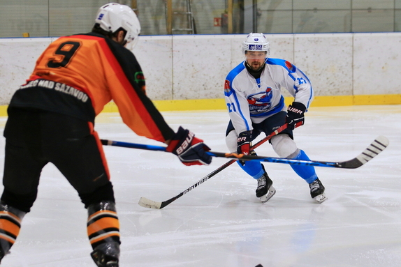 HC Světlá n. S. - HC Ledeč n. S. 7:1 (21.12.2024) 