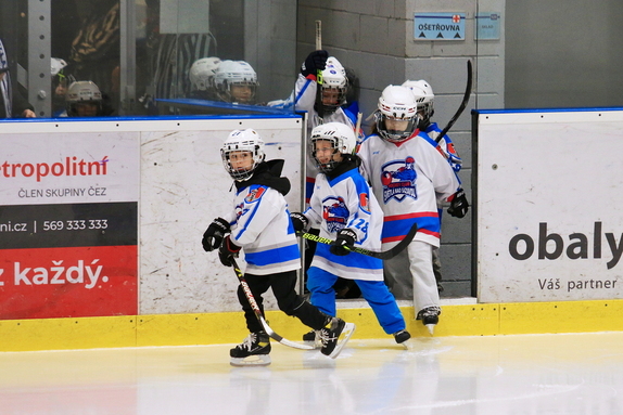 HC Světlá n. S. - HC Ledeč n. S. 7:1 (21.12.2024) 