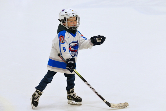 HC Světlá n. S. - HC Ledeč n. S. 7:1 (21.12.2024) 