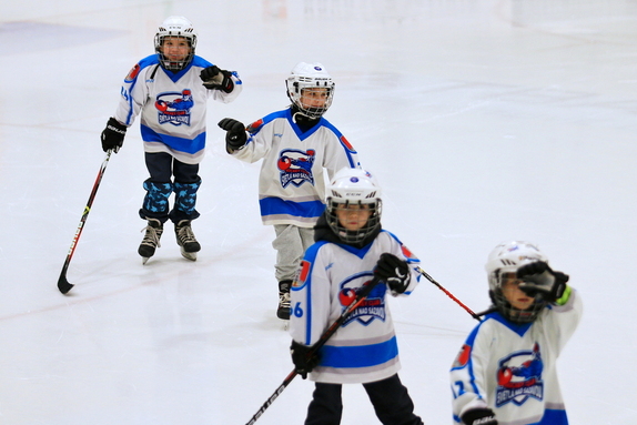 HC Světlá n. S. - HC Ledeč n. S. 7:1 (21.12.2024) 