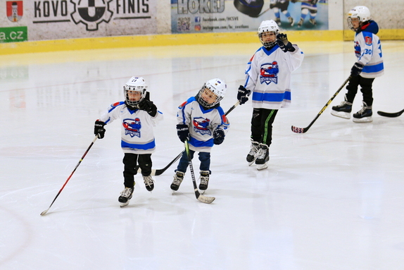 HC Světlá n. S. - HC Ledeč n. S. 7:1 (21.12.2024) 