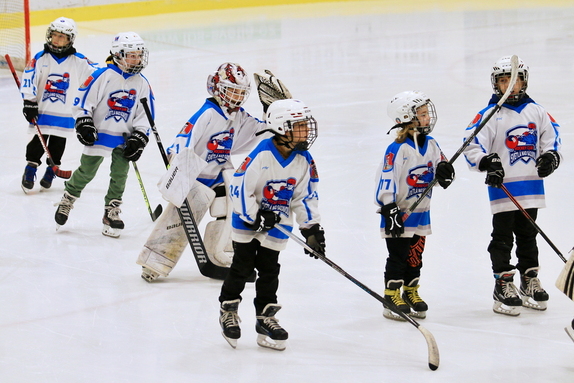 HC Světlá n. S. - HC Ledeč n. S. 7:1 (21.12.2024) 