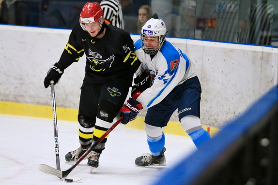 HC Světlá n. S. - HC Bystřice n. P. 10:1 (4.1.2025