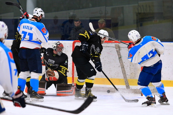 HC Světlá n. S. - HC Bystřice n. P. 10:1 (4.1.2025