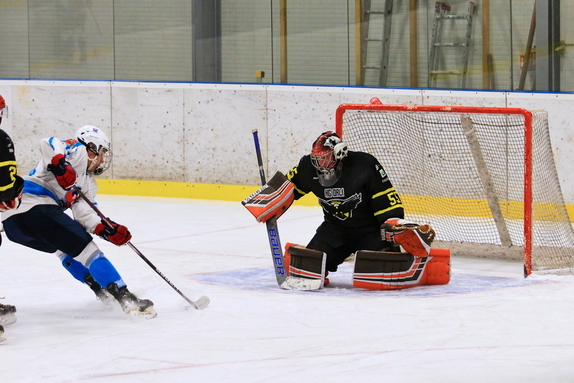 HC Světlá n. S. - HC Bystřice n. P. 10:1 (4.1.2025