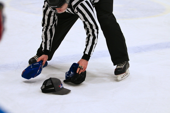 HC Světlá n. S. - HC Bystřice n. P. 10:1 (4.1.2025