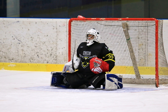 HC Světlá n. S. - HC Bystřice n. P. 10:1 (4.1.2025