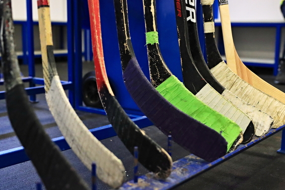 Pojď hrát hokej (leden 2025) 6