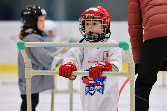 Pojď hrát hokej (leden 2025) 3