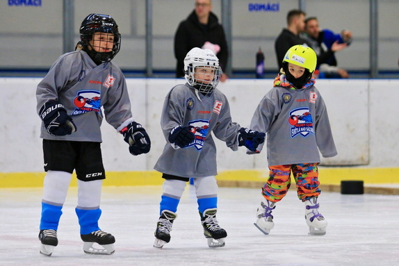 Pojď hrát hokej (leden 2025) 6