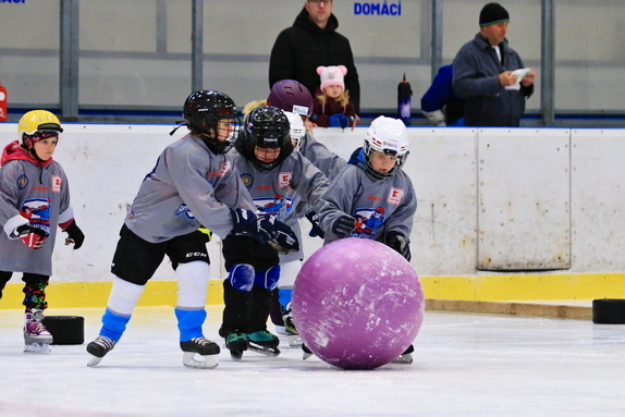 Pojď hrát hokej (leden 2025) 21