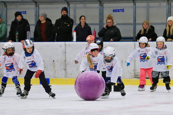 Pojď hrát hokej (leden 2025) 23