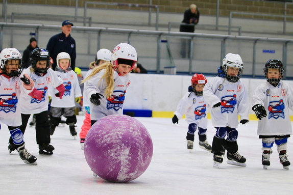 Pojď hrát hokej (leden 2025) 28