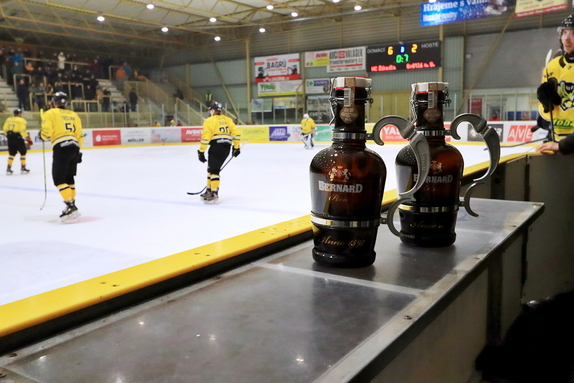 HC M. Budějovice - HC Světlá n. S. 6:2 (24.1.2025)