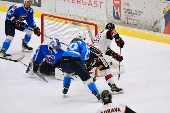 HC Pelhřimov - HC Světlá n. S. 3:0 (5.2.2025) 8