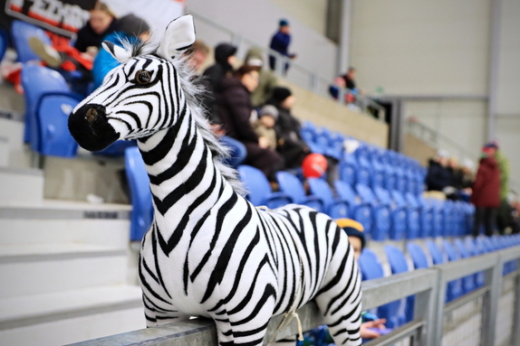 HC Světlá n. S. - HC Pelhřimov 3:4 (8.2.2025) 36