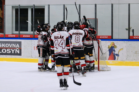 HC Pelhřimov - HC Světlá n. S. 5:3 (12.2.2025) 24