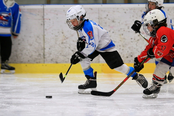 PŘÍPRAVKA - 2024/2025 4