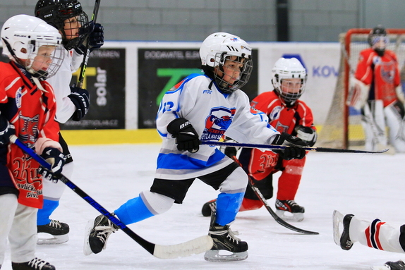 PŘÍPRAVKA - 2024/2025 34