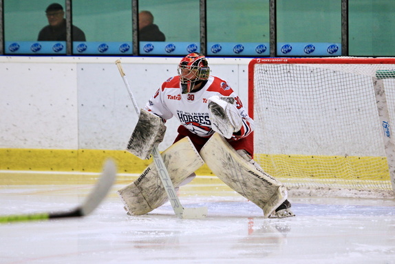 HC Hlinsko - HC Světlá n. S. 2:5 (14.9.2025) 9