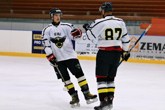 HC Bystřice n. P. - HC Světlá n. S. 4:2 (28.10.202