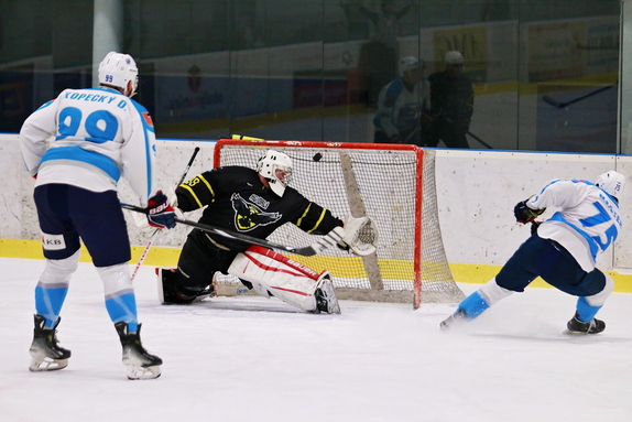 HC Světlá n. S. - HC Bystřice n. P. 8:3 (10.1.2026