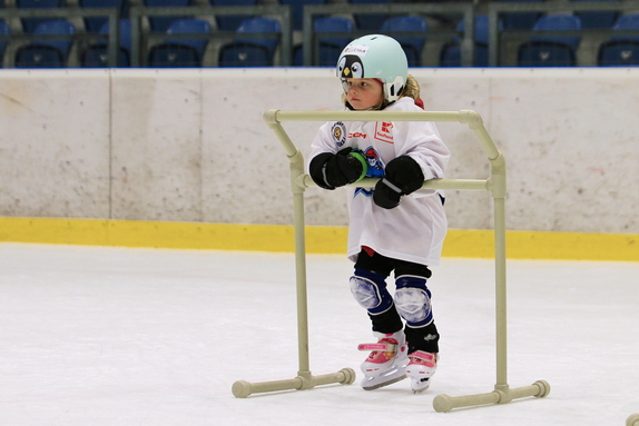 Pojď hrát hokej (leden 2026) 15