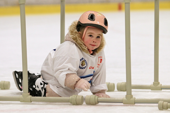 Pojď hrát hokej (leden 2026) 19