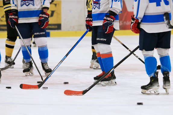 HC Světlá n. S. - Mor. Budějovice 1:4 (25.1.2026) 