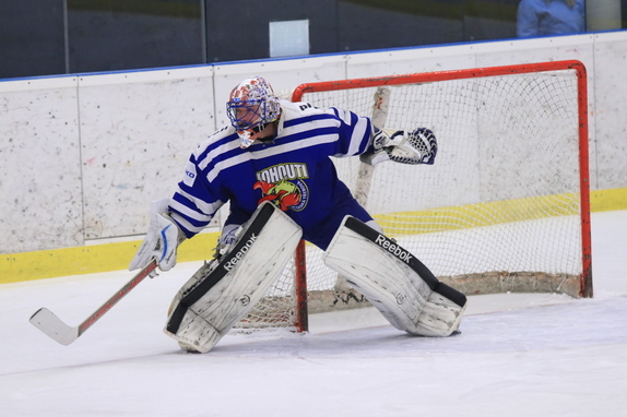 HC Světlá n. S. - HC Čes. Třebová 5:6 (18.1.2017) 