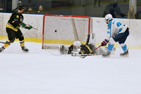 HC Světlá n. S. - Mor. Budějovice 5:2 (28.2.2026) 