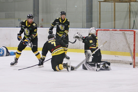 HC Světlá n. S. - Mor. Budějovice 5:2 (28.2.2026) 