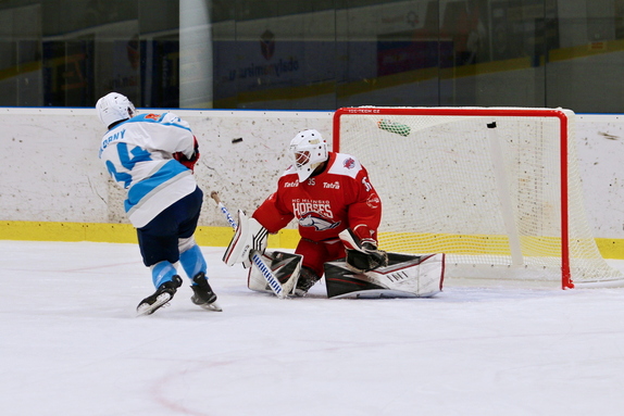 HC Světlá n. S. - HC Hlinsko 2:3sn (2.9.2026) 50